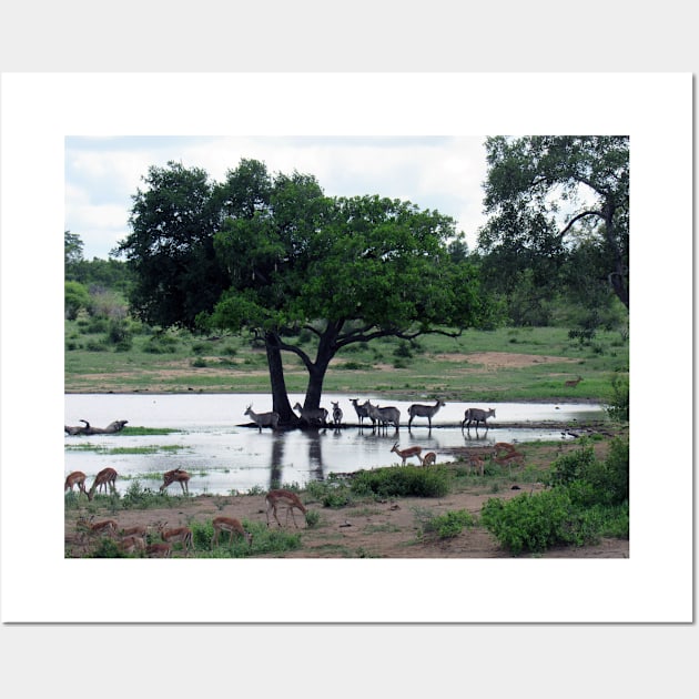 My African Safari - Waterhole Wall Art by kimbo11